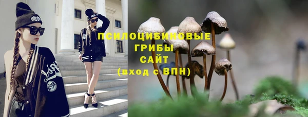 2c-b Абдулино