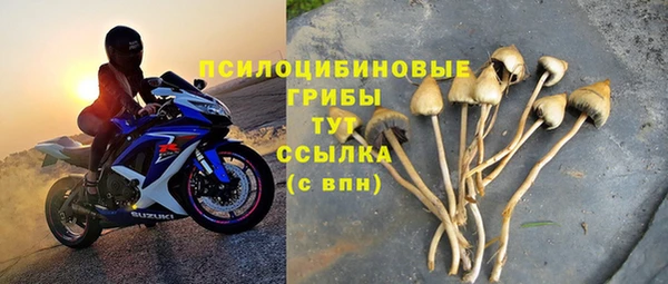 2c-b Абдулино
